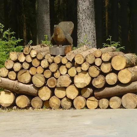 Zur Forsterei * Jagersgrun